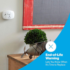 Carbon Monoxide Alarm (2-Pack)